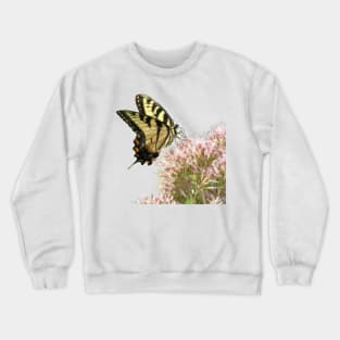 Butterfly on pink flowers with no background Crewneck Sweatshirt